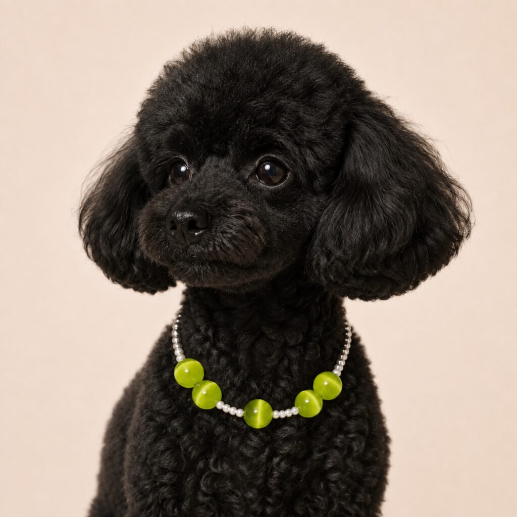 Midnight Aura Crystal Pet Collar